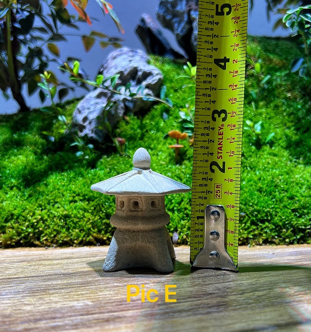 Terrarium Decor*Terrarium Accessories*