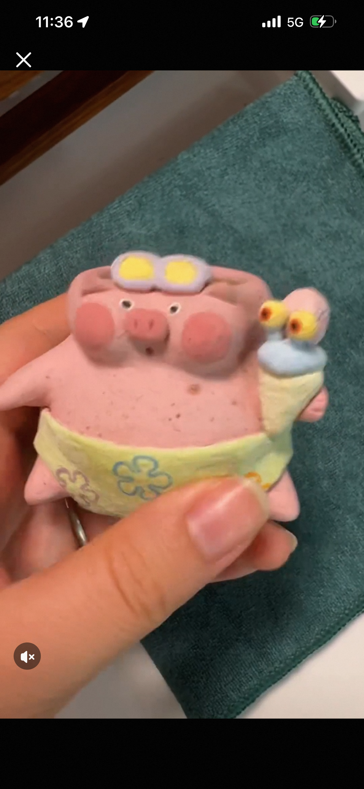 5 piggy pot for rosa