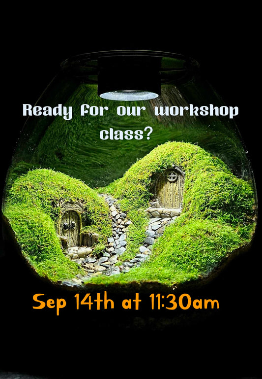 9/14 Hobbit House Workshop Booking