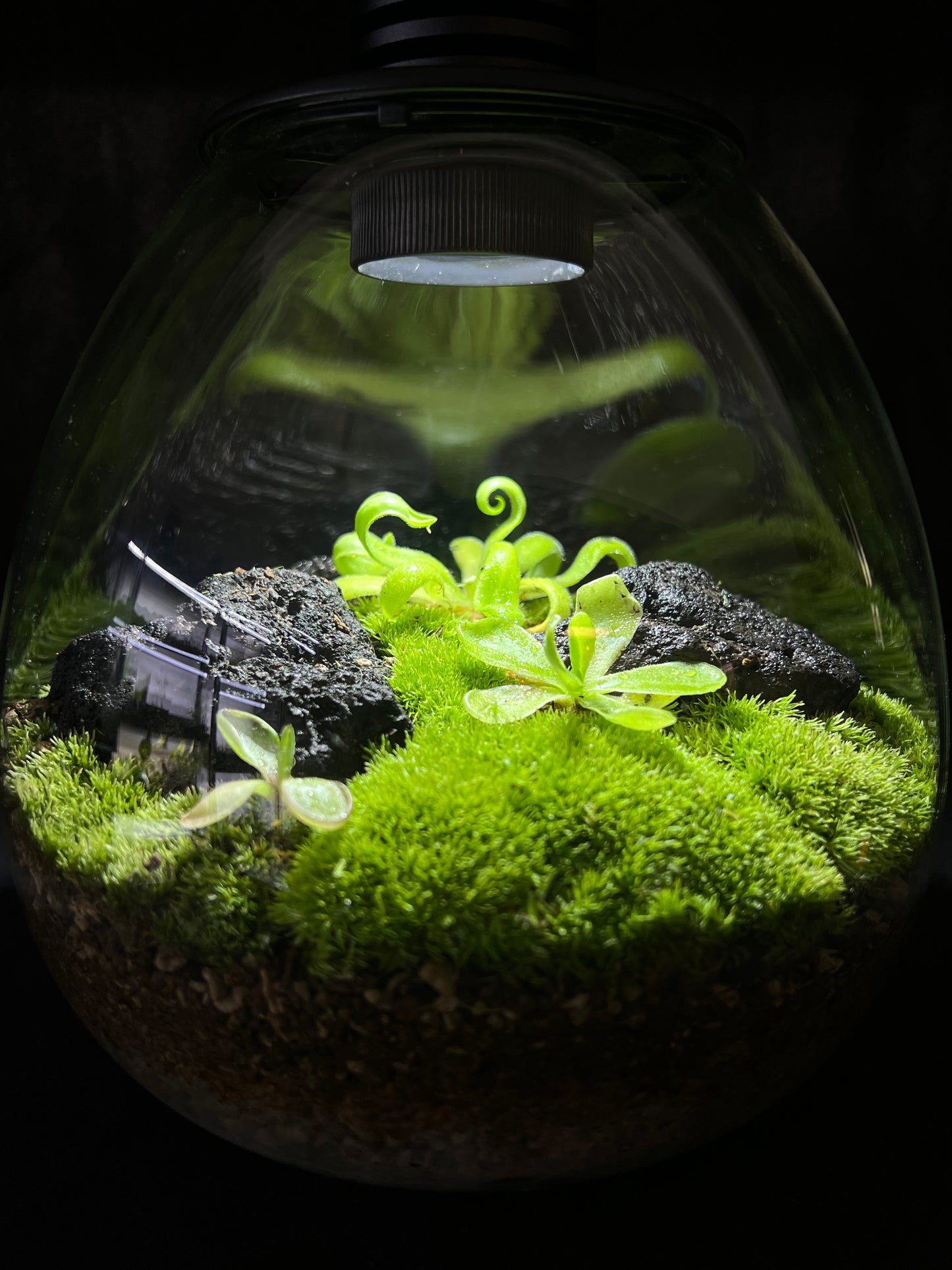 2/21-22 Terrarium Workshop Booking
