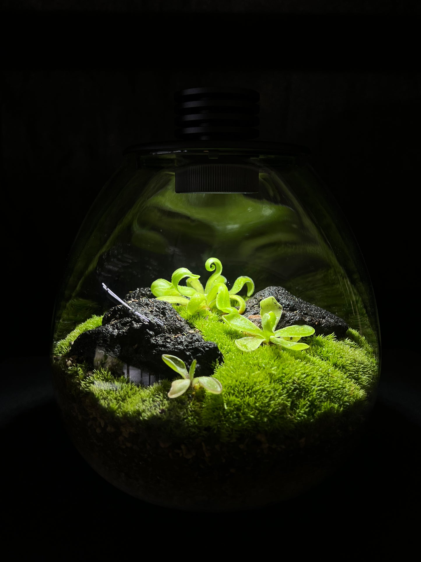 2/21-22 Terrarium Workshop Booking
