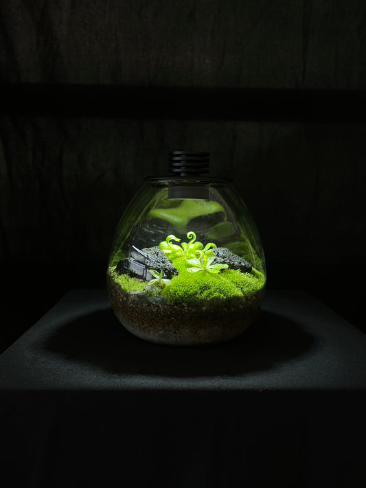 8/13 Terrarium Workshop Booking
