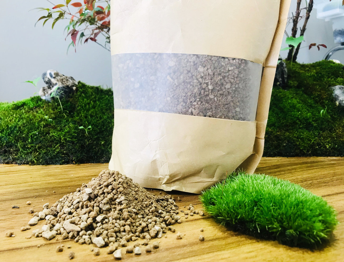 Premium Moss Growing Soil Mix *Terrarium Soil Mix* *House Plant Soil Mix* 2.2 lb